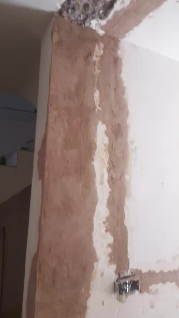 عمل ترميم البيوت وكافه العمل لبخ اجراره او سقل ناعم تصليحات جص وبورك وكان العمل بمنطقه بغداد الوزيرية شارع المغرب لطلب والاستفسار اتصل على الارقام التاليه 
*********** يوجد واتساب 
***********
ابو سجاد مكاني بغداد لتواصل خاص او اتصال ومن الله التوفيق للجميع
