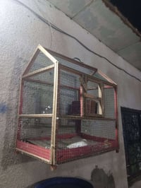 بصره حيانيه • قفص بلبل • قفص طيور الحب