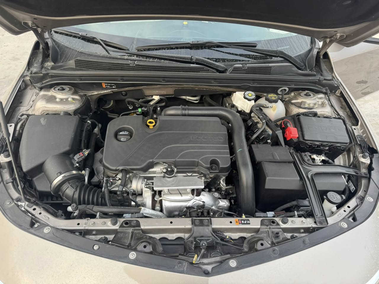 مالبيو 2024/رقم واسط/ شهداء/صبغ جاملغ وبنيد بدون دواخل/مواصفاتLT/***********
