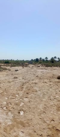 طريق الزائرين الواحه • ٢دونم • ٣٣م واجهة