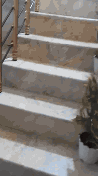 السلام عليكم من رخصة الاادمن
عندي بيت  طابو زراعي سند 25 في بغداد العبيدي  شارع التربيه  بداية حي السفير قرب سوق العبيدي البيت مساحه / 125 /  متكون من غرفه  نوم واستقبال وصاله ومطبخ ومنور وطرمه وحمام خارج وحمام داخل وشارع مبلط وارصفه ومجاري وراس الفرع العبيدي 
وهذا الرقم الي يحب يتصل 
*********** @
