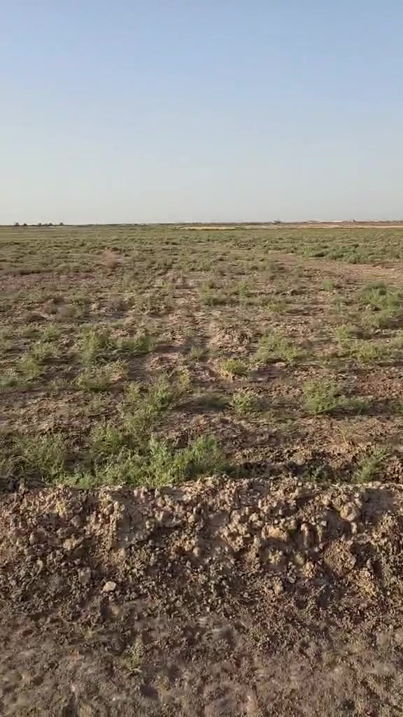سلام عليكم عندي ارص البيع المساحه 30 دونم طابو 25 مع ارض 70 دونم عقد 117 دونم العنوان نهايت السده دور النفط قرب السيطره  التصال عله الرقم بي واساب وتصال ***********
