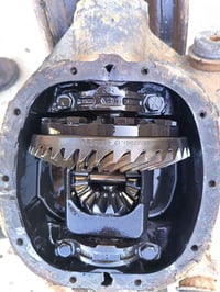 اكسل دولفين • وارد • ما مشتغل بالعراق