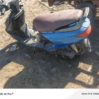 فراشات • شغالات • عوزهن كفرات