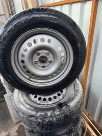 ويل مصبوغ • حجم ١٦ • نجف