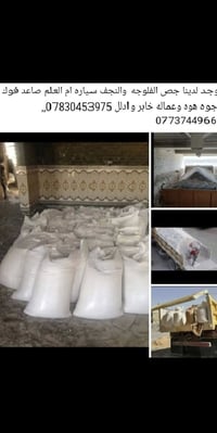 ‎جص‎ بغداد, العراق