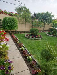 متوفر عمال متفرغين  حالياً لكافه الاعمال تفليش او تقشير للبيوت  ترتيب ...