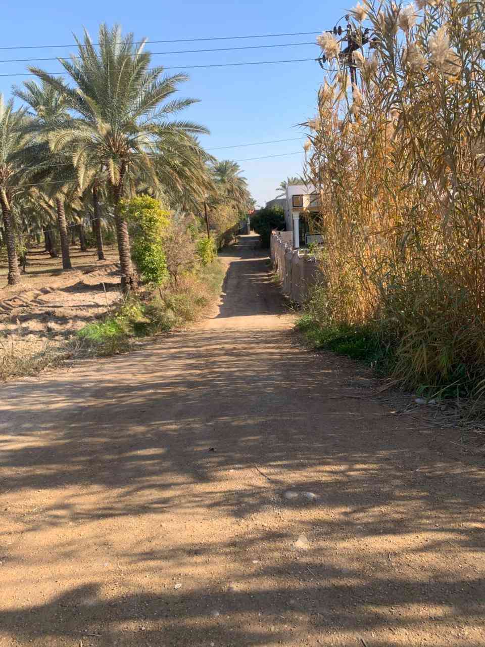 اللهم صل على محمد وآل محمد
أرض زراعيه المساحه 10 دوانم  طابو زراعي سند 25 في واسط قضاء العزيزيه الدير الاوسط تبعد عن طريق بغداد كوت مسافه 3كم متوفر بيهه كافه الخدمات كهرباء ماء اساله ماء سقي أرض زميجيه  تصلح بستان  او حقول دواجن او حقول عجول الاستفسار الاتصال على الرقم *********** واتساب موجود على الرقم

