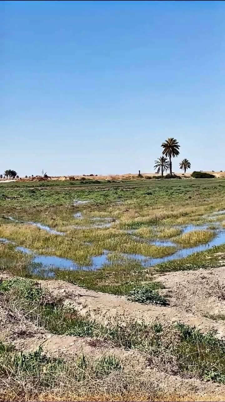 📄 على طابو الكاظمية – فرصة مميزة لأرض استثمارية
📢 المساحة: 20 دونم (ركن)

📍 الموقع: بغداد – التاجي، منطقة البصام، بجانب سبع البور

🚗 قريب من سريع التاجي وجسر المصابيح

✨ إطلالة مميزة على مدينة سبع البور

📄 بجانب سند 25

✅ مناسبة للمزارع والشاليهات

🔹 الأرض مخدومة بالكامل:

💧 ماء

⚡ كهرباء

🛣️ تبليط

🌟 موقع هادئ وفرصة قوية للاستثمار

📞 للاستفسار: ***********
