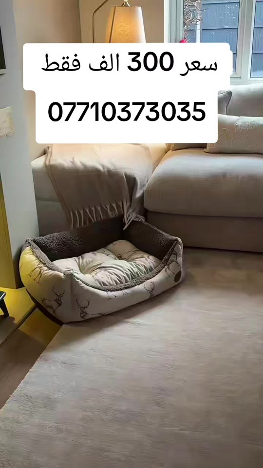 كورنر خمس مقاعد نفس الفيديو بلضبط مع ضمان  سعر 250 الف فقط واتساب *********** يوصل نفس الصوره بلضبط اي اختلاف او ضرر يرجع بيد المندوب والترجيع مجاني 💕 يوجد توصيل لجميع المحافظات العراق #تخفيضات #الشعب_الصيني_ماله_حل😂😂 #جديد #تخم_تركي #كورنر 
