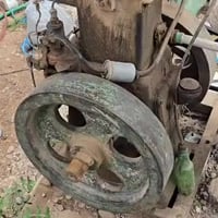 مولد لستر • شغال • صلاح الدين