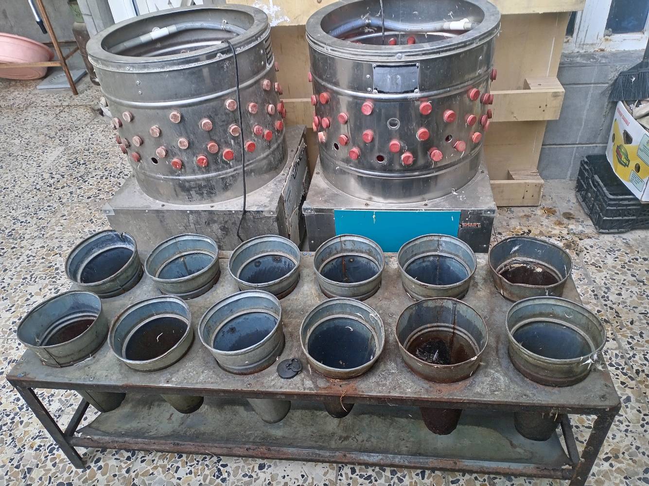 واسط الكوت حي الزهراء مجاور دكتور مثيل 