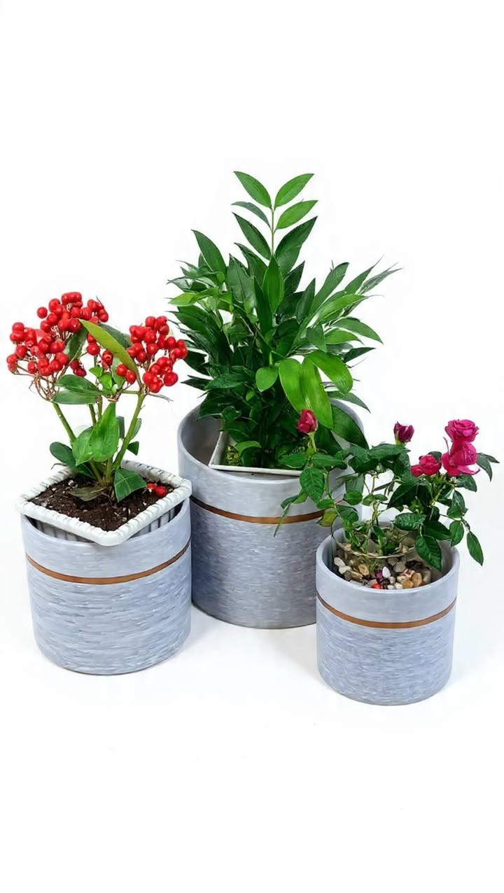 #$@
🌹💥💥💥 الحمدلله تبدأ موسم تزهير و نمو نباتات أنشأ الله 🥀🥀🍂🍂 
🦋نبدا مع نباتات جديدة و اشياء جميلة و جديدة أنشأ الله 🦋
🍂نباتات موجودة حاليا💥
� سارعو بالحجز اطلبوها 👈👈 وباقی علینا ....🤗🤗🤗🤗
يوجد توصيل لكل محافظات 👇 👇 👏
🌹🌹 ...😉😉😉😉

🌹💥💥💥 الحمدلله لەئێستا دا کاتی گوڵ کردنی گوڵەکان و دەست کردن بەگەشەیە انشااللە 🥀🥀🍂🍂
🦋 بەگوڵی تازەو شتی تازەو جوان انشااللە 🦋
🍂گوڵ بەردەستە لەئێستادا 💥🥀 خێرا بکە و داوای بکە 👈👈ئەوەی تر بە ئێمە بسپێرە ....🤗🤗🤗🤗
گەیاندن هەیة بۆ هەموو شوێنێک 👇 👇 👏 
 🌹🌹🌹...😉😉😉

... بتمۆس 👇
... ئاسن    👇 حدید
...ئێن پی کەی 👇
                                                        NPK...
... بیرلایت
...بەردی بوڕکانی یان بەردی لیکا 👇
... حجر بركاني او حجر ليكا  👇
...قەترەی بامبۆ 👇 قطرة عصى موسى 

🫵🫵هەموو جۆرە سندانەیەکی گەورەو بچوكى گوڵی ئاوی بەردەستە.....
🫵🫵كل انواع سنادين كبير و صغيرة نباتات مائية موجود .....
...لصورة کل نباتات تانية ادخل الصفحة.....🫵🫵🫵🫵🫵
... بۆ وێنەی هەموو گوڵەکان بڕۆ ناو پەیجەکەمان ....🫵🫵🫵🫵
...


**إذا كنت صاحب هذا الإعلان وتريد حذفه لأي سبب، رجاءا أرسل رسالة إلى الدعم الفني**