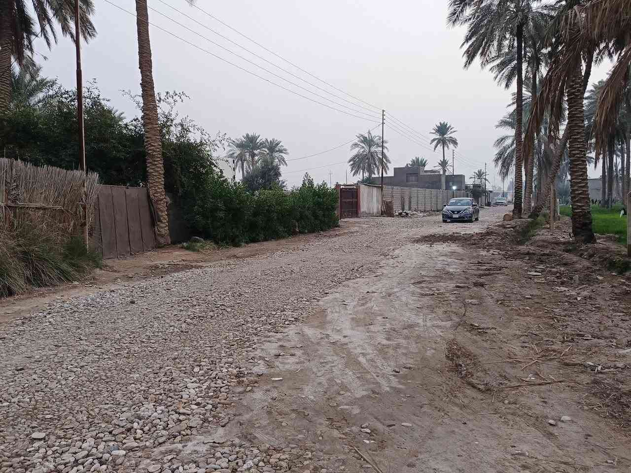 السلام عليكم ارض طابو صرف بستان للبيع منها 250متر. توجد كافه الخدمات موقع الارض قريبه ع شط الهاشميه طريق علي قماره  امام الارض  للاتصال 

***********
