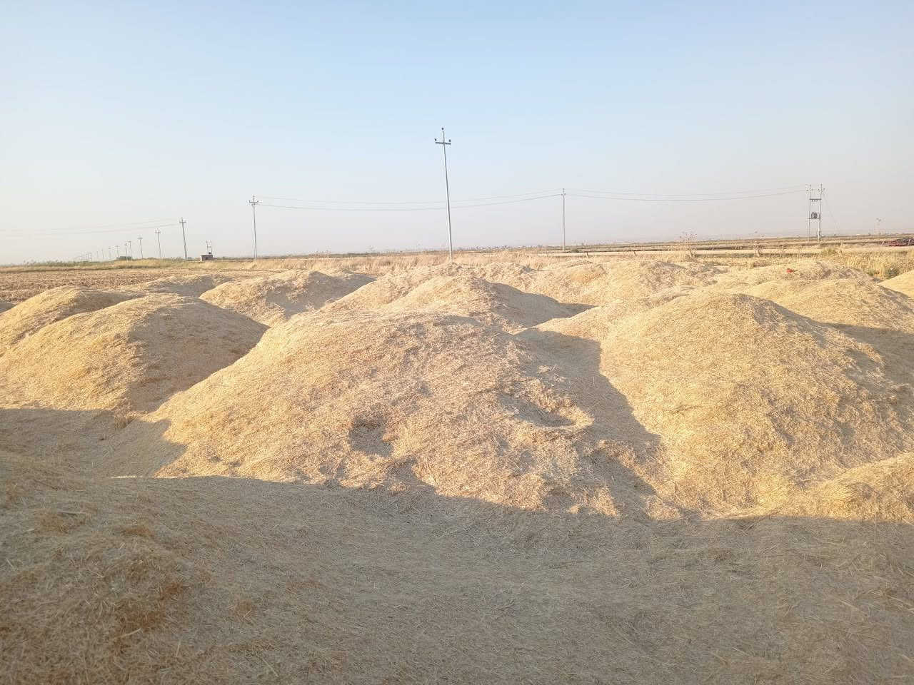 🌾 يوجد تبن للبيع 🌾

تبن الشمال (أربيل وكركوك)
✅ أبيض
✅ ناعم
✅ نظيف
✅ خالٍ من التراب

🚛 سعر الزوج إلى البصره : ٩ ونص

📞 للاستفسار والطلب: ***********
