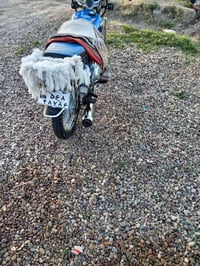 دراجه تايكر • بابل سده الهنده