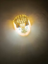 براكيتات • زوج • ديكور