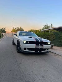 ٢٠١٩ • فول اوبشن • كفاله مكينه