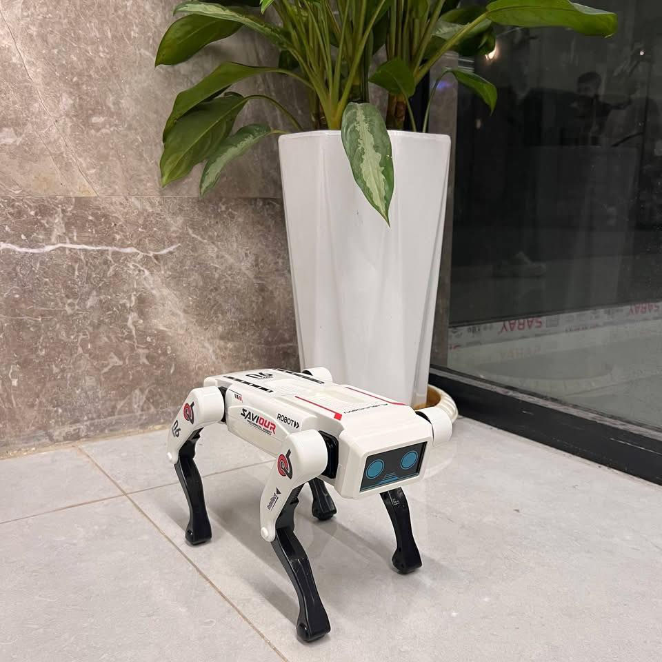 روبوت الكلب الذكي Al يمكن تحكم في عن طريق الكنترول والاوامر الصوتيه السعر بلاش 60الف وتوصيل مجاني


**إذا كنت صاحب هذا الإعلان وتريد حذفه لأي سبب، رجاءا أرسل رسالة إلى الدعم الفني**