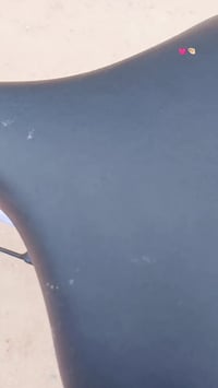 باسكل • جديد • طوريج