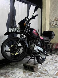 بوكسر • جبلي • ٢٠٢١