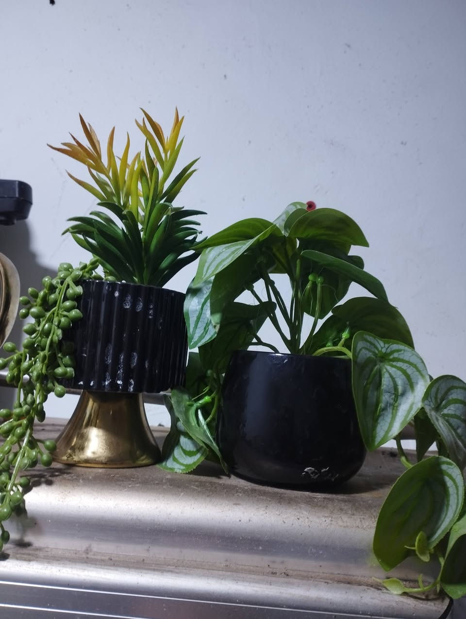 الحاجه بلف مكاني الزبير الدريهميه قرب جامع الباقر


**إذا كنت صاحب هذا الإعلان وتريد حذفه لأي سبب، رجاءا أرسل رسالة إلى الدعم الفني**