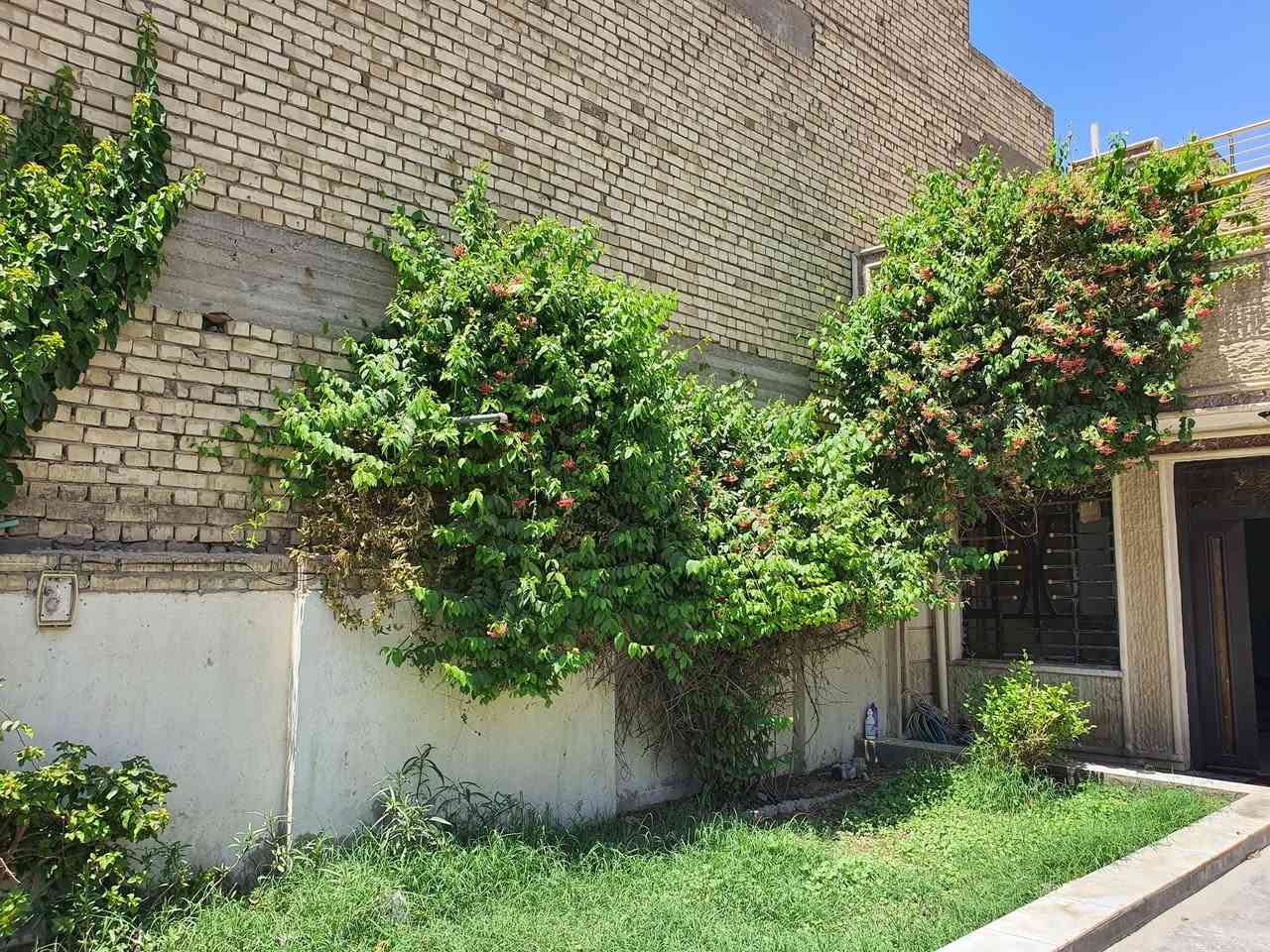 يتوفر في مكتب #الوميض_للعقار
🏠 بيت للايجار مساحه ٢١٠ م
 نظيف جدا يحتوي على 
في #حي_المعلمين( قرب المشتل) 
قرب كنيسه الصعود 
🔸️كراج كبير 
🔸️حديقه 
🔸️ استقبال  صاله داخليه كبيره  مطبخ كبير غرفة نوم ٤.٥ × ٤.٥ م  منور خلفي وخدمات 
🔸️الطابق الثاني ٣ غرف نوم وحمام 
في المنزل  ايضا 
🔸️سخانات عدد ٢ 🔸️مراوح سقفيه ٤🔸️ ماطورات ماء عدد٢ واحد بوستر 🔸️ساحبات عدد ٣ 🔸️خط مولد 
🔸️الارضيه مرمر .🔸️الشارع عريض 🔸️منطقه هادئه وقريبه على جميع الخدمات (كنيسه. جامع .مدارس .مركز الصحي .والأسواق. وخطوط النقل )
الاتصال 
***********
