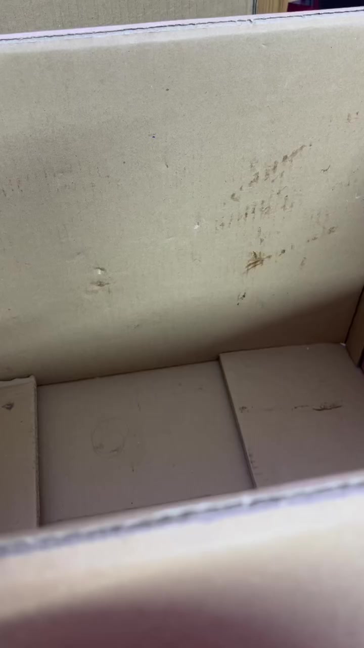 شلعه رقم ١ سعر ١٥ توصيل مجاني


**إذا كنت صاحب هذا الإعلان وتريد حذفه لأي سبب، رجاءا أرسل رسالة إلى الدعم الفني**