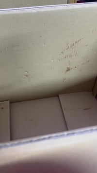 شلعة رقم ١ • توصيل مجاني