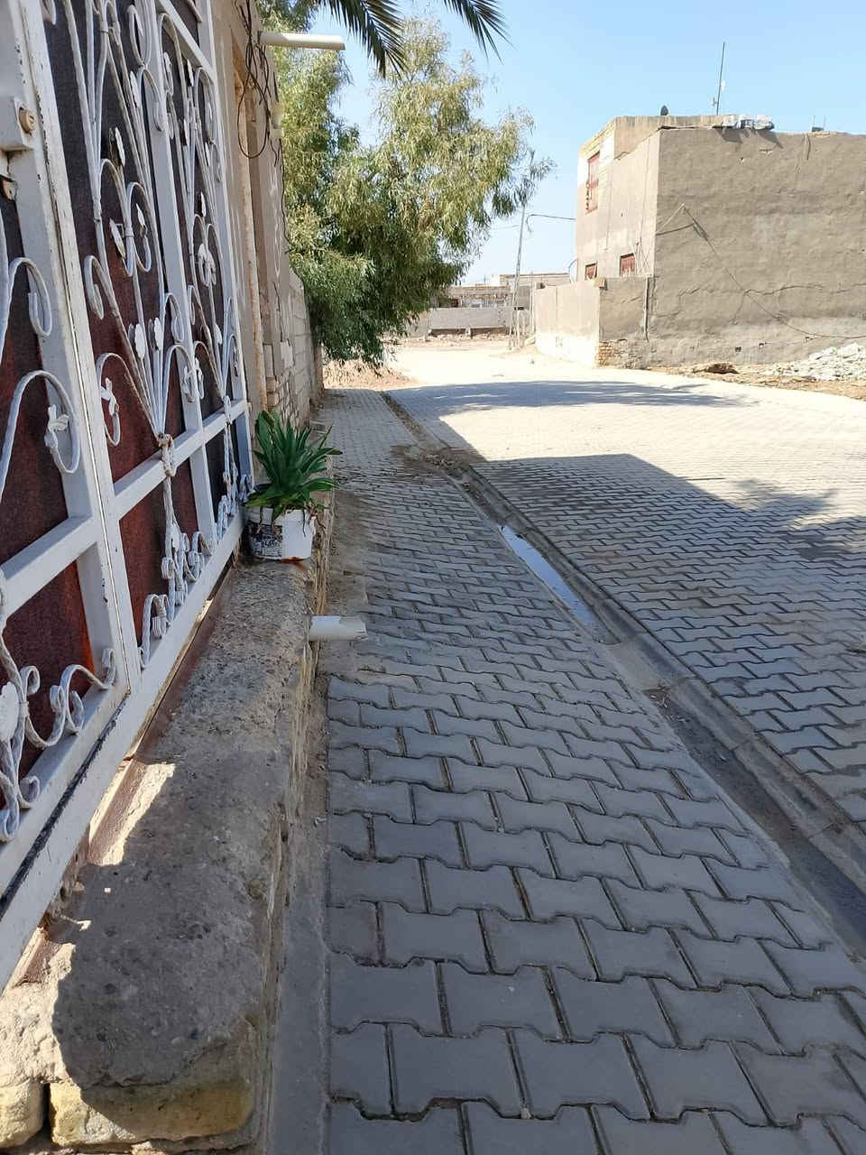 بيت للبيع في الديوانيه حي الامين نزله سيد حسين الميالي
بيت  طابو زراعي للبيع في الديوانيه المساحه 220م  مكون من طابق واحد غرفتين (4×4م)+ صاله (8×4م)  الاستقبال (5×4) ومطبخ (4×4)  + طارمه  البناء حديث كونكريت + سيراميك + سقف ثانوي  الخدمات كامله (ماء + تبليط + كهرباء + قريب على المدارس) السعر مناسب جدا 
مع عرصه للبيع مساحه 250 والسعر مناسب ايضا 
العنوان الديوانيه حي الامين الاولى مقابل حسينيه مالك الاشتر نزله سيد حسين الميالي  للاستفسار الاتصال ع الرقم ***********
