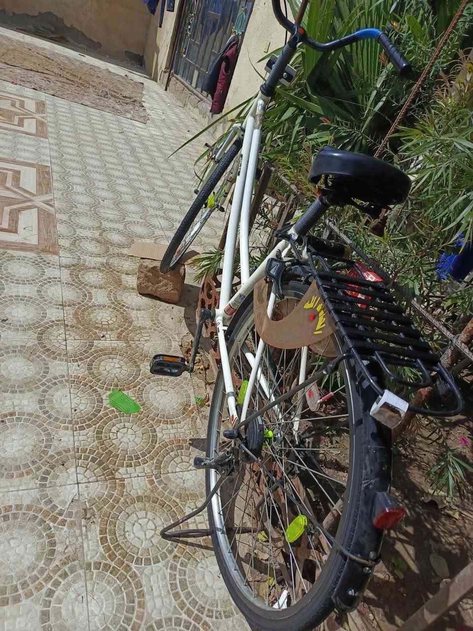 للبيع نضافه كدام اعيونكك نصيف كلش 
شركه اوفج مديل 2020
بــ١١٠وبي مجال 
بدون غراض بــ١٠٠
لاموشراي لايراسل رجائن 🧊👍🏼
مكان نجف ـ مشخاب يم كطعت المراجدهه💞


**إذا كنت صاحب هذا الإعلان وتريد حذفه لأي سبب، رجاءا أرسل رسالة إلى الدعم الفني**