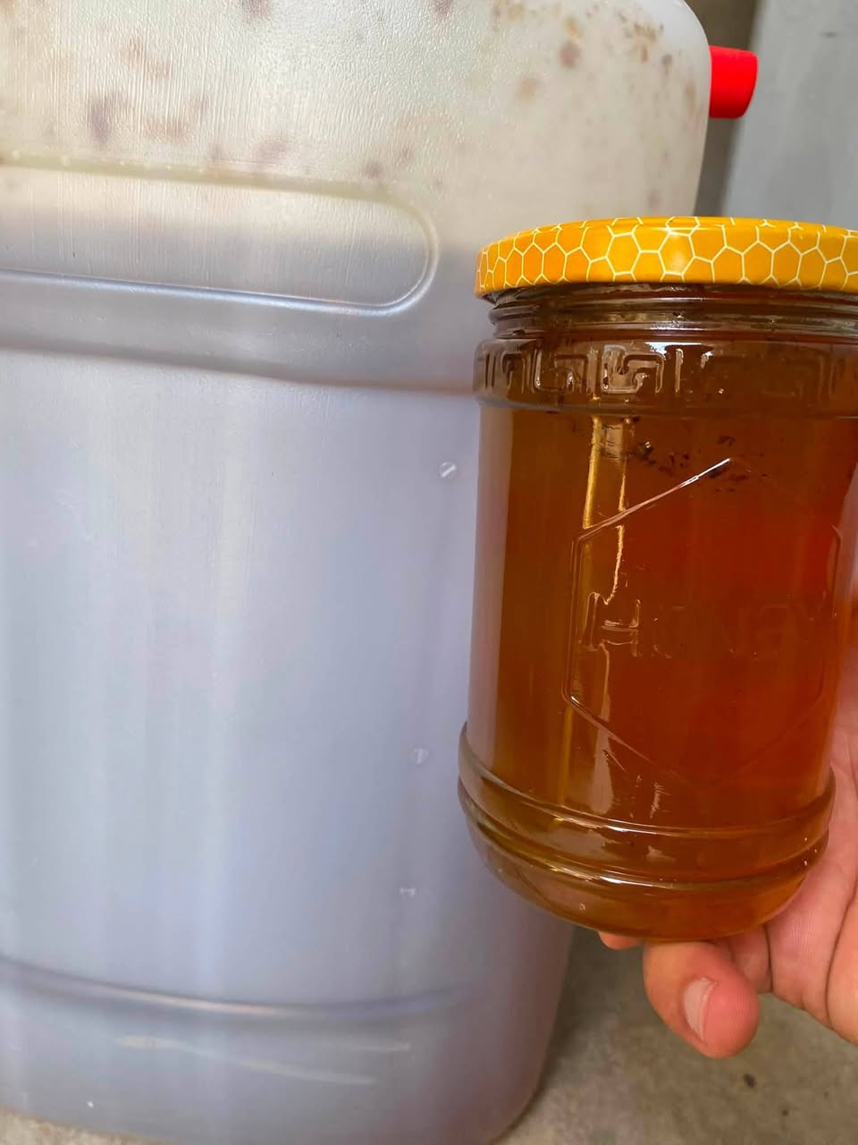 السلام عليكم اخوتي 
عسل طبيعي درجة اولى شرط الفحص طعم وريحة وشكل تاخذه تعرضه على اكبر نحال بحض وبخت اذا مو زين لا تستلمه ولا تدفع دينار واحد او تفحص مختبر وحتى اذا استلمته وفحصته بعد الاستلام وطلع مو زين ترجعه للمندوب أمانة هاي عسل درجة اولى100‎%‎ من مناحلنا متوفر عدنا جملة 25 الف ومفرد 30 الف 
للتواصل والاستفسار الاتصال بي واتساب 
 *********** واتساب وقم توصيل *********** اخوكم ابو محمد الجبوري العنوان الرمادي ناحية اليرموك
