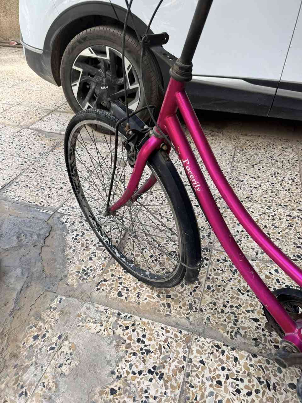 بناتي للبيع سعره ٧٥ الف  نهايته الاتصال ***********
