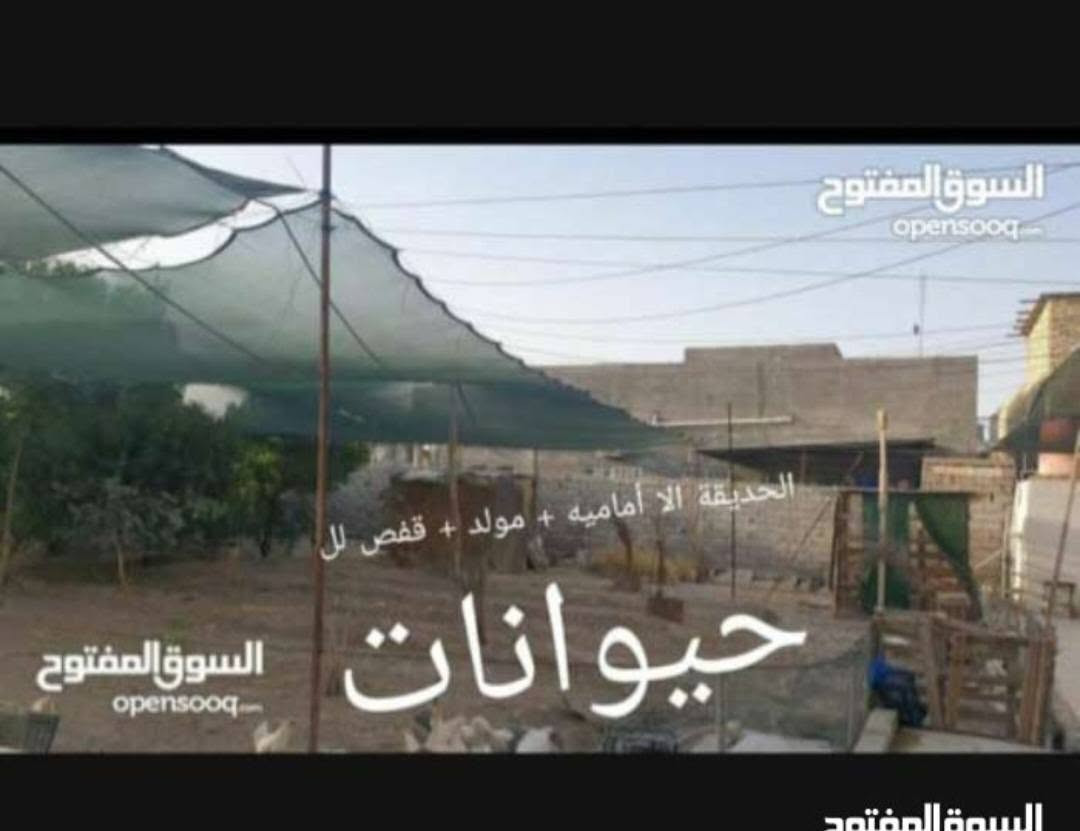 للبيع دونم 2500 متر
طابو صرف بأسمي تحويل مباشر
يحتوي على 5 بيوت
اول 4 بيوت مساحتهن كل بيت 200 متر
العنوان البصرة الصالحيه قرب صالحيه سنتر
منطقه راقيه شوارع تبليط موجود كافة الخدمات
يحتوي على كراج وحديقة ومعاهن مولد يغطي
جميع البيوت كهرباء هديه  لل استفسار
اتصل ***********

