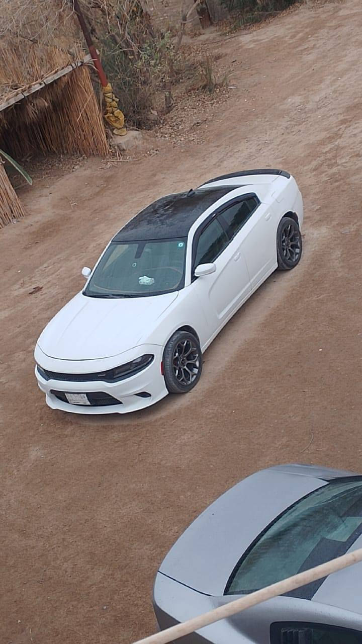 دوج جاجر مديل 15 بلاص
بيها كم قطعه تبديل و صبغ فقط  وارد امريكي سياره مواصفات دواخل بلاك سياره كلش حلوه ومرتبه ومناسبه بسمنه رقم نجف مكان السيارة ناصريه اخوان   سعرها 133وبيها مجال اكرر اني مكلف استفسار اتصل***********واتساب او اتصال
