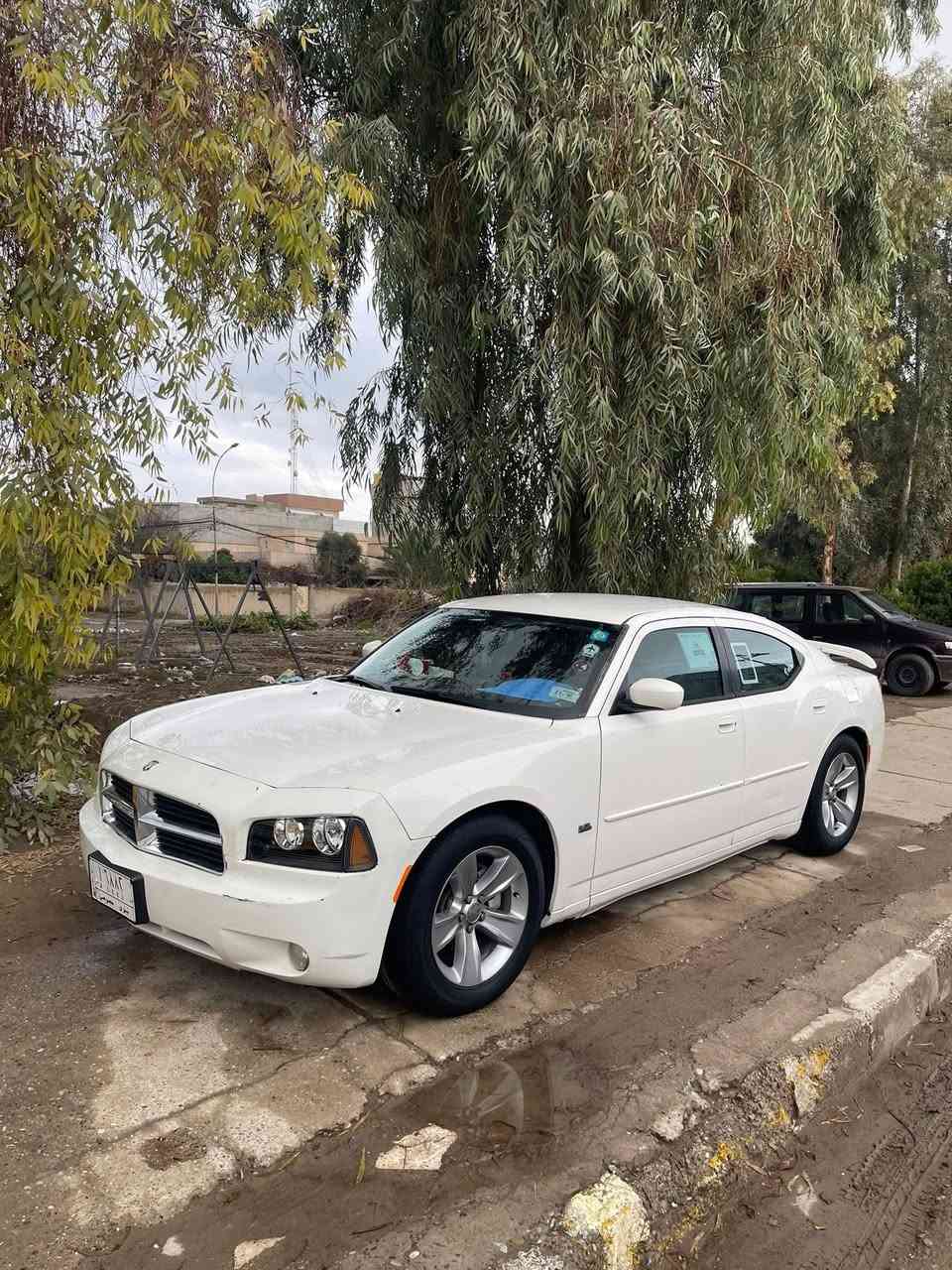 السلام عليكم دوج جارجر للبيع السعر *********** اسيا*********** رقم نينوى انكليزي جديد+هزه جديده
سياره جاهزه من كلشي 
ظرر بوند وجاملغ بدل اصلي 
وجاملغ الوره النفر معدل بارد 
وسياره بل حقيقه احله من الواقع 
السياره مو مل خط مل بيت العنوان موصل
