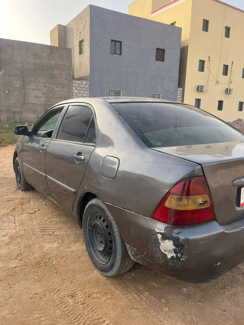 عااااااجل ذيك فرصة كورولا سلفير أفريقيه مكينته زين حركته زين ديوانته شرعيه تواقطها تامين كرت كريزه سقيره مبيوع تكول 900 وتفتح عنه شوي لحد شاري لمهتم يتصل علين اعل رقم48502170 وعليه واتسب وشكرا وبايعين


**إذا كنت صاحب هذا الإعلان وتريد حذفه لأي سبب، رجاءا أرسل رسالة إلى الدعم الفني**