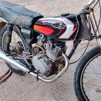 ارشه • شغاله • موديل ١٤