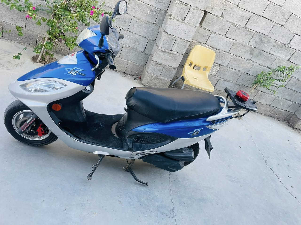 16
v2 فحل 150
كفاله تفحص وتشوف رمبه 
مكانها قلعة سكر 
السعر ٩٧٥ بيها مجال 
***********
