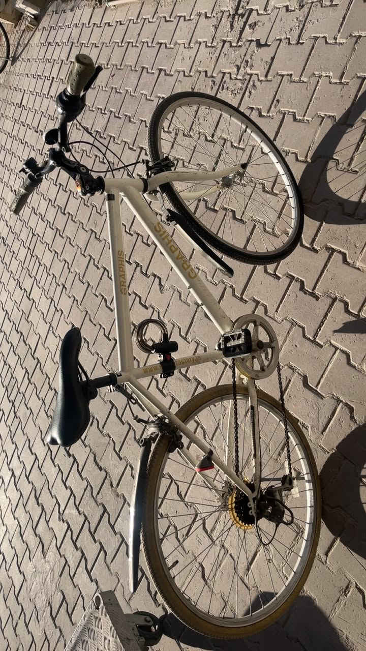 للبيع بايسكل (City Bike) 🚲
نظيف وحالته زينة 
السعر 165 وبي مجال 
للتواصل على هذا الرقم ***********
