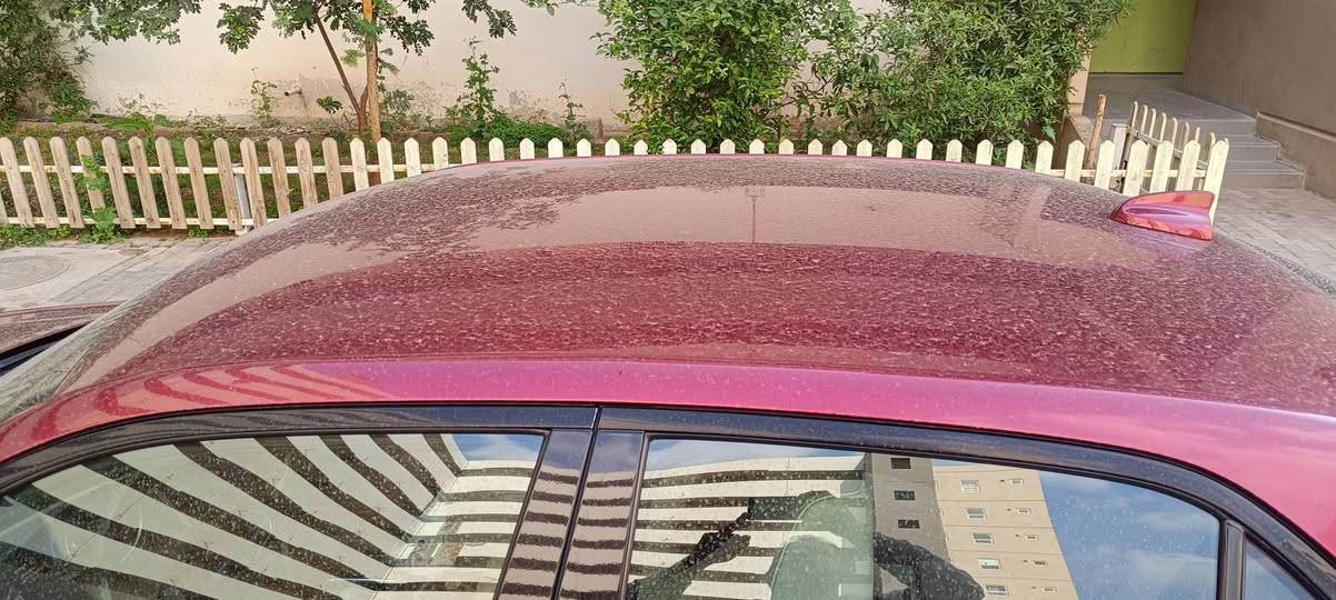 السلام عليكم 
c300 وارد أمريكي للبيع السيارة حادثها خفيف بنيد ودعاميه.. البنيد مبدل بلادي نفس اللون والدعامية جديدة 
مواصفاتها 
محرك 3600
موديل 2022
رقم بغداد دولي باسمي 
غير حادث امريكا كفاله عامه 
حساسات امامي خلفي 
كاميرا خلفيه 
رادار جانبي نقطة عمياء 
مرايات ترحيب واشارة 
كشنات جلد حار بارد 
كشنات خلفي هيتر
ذاكرة ميوري كشن واستيرن 
ستيرن كهرباء وهيتر 
بردة خلفيه 
لايت زنون بلادي داينمك ومبدل عدسات يعني لايت فوول 
ويل مكسيكي 18 
كلشي بالسيارة بلادي ع وضع الشركة وما بيها نقص الف دينار 
اخوان السيارة سعرها 255 وبيها مجال بسيط حك العملة.. مكانها بغداد بسماية.. للاستفسار ***********
