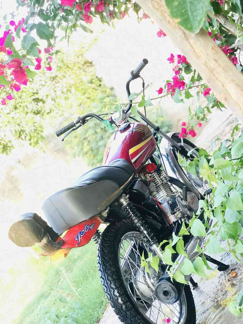 السلام عليكم دراجه للبيع وترهم (مروس) دراجه تيربوو 23 رقمي ***********مكاني بابل قرب شركة الرناه
