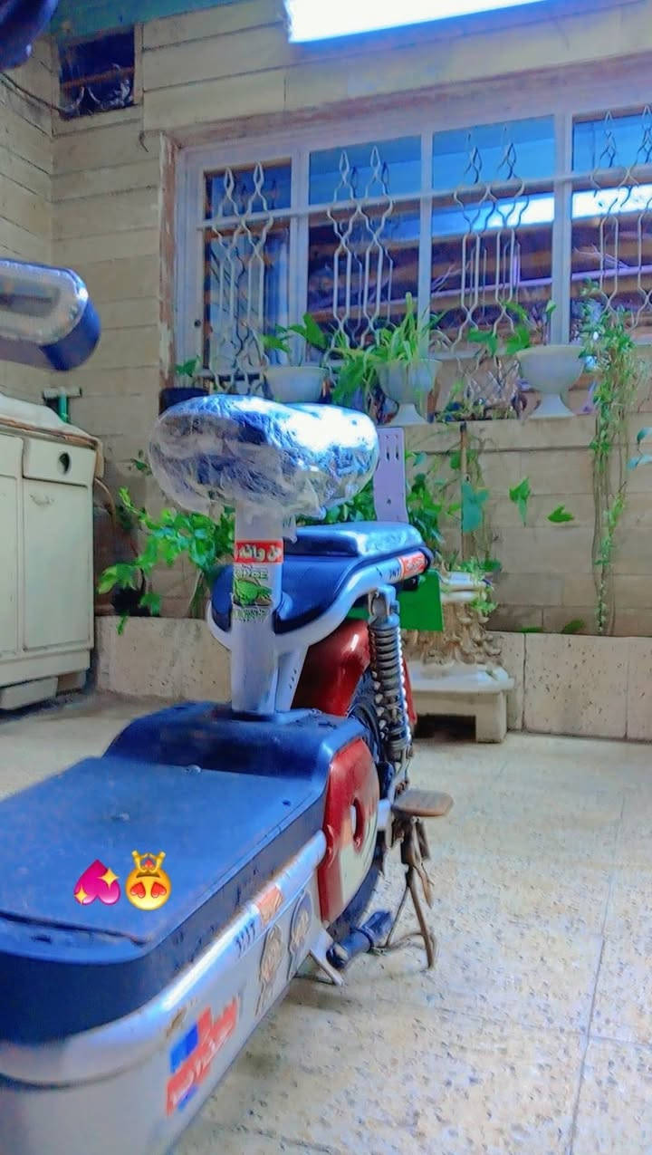 مطور شحن 
حجم 14 ✅ نضفتو 100 ✅ عداد بطريتو ٤ معاى ٢ بطريت هدي يمشك ٥ كيلوت ✅ سويج ✅ وبصمه عن بعد✅ وقفل بل بصمه وفتح ✅ سويج قفل بس تيار الورء ✅ عداد سرعتو ٣ ✅ السرعه الحقيقي ٤٠ ✅ السعر 150 الف وبي مجل ✅


**إذا كنت صاحب هذا الإعلان وتريد حذفه لأي سبب، رجاءا أرسل رسالة إلى الدعم الفني**