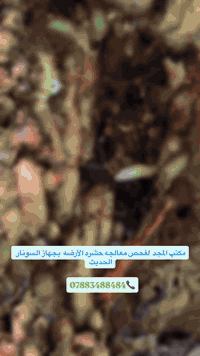 يوفر لكم مكتب المجد الزراعي المختص بكشف ومكافحة حشره الارضه والقوارض ب...