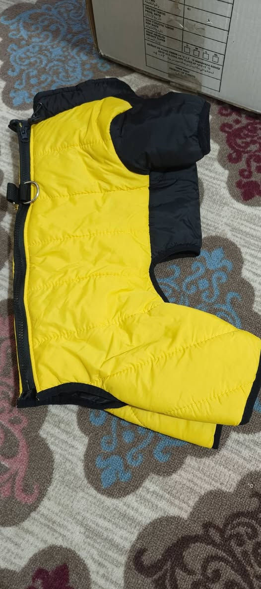 30 ويه التوصيل


**إذا كنت صاحب هذا الإعلان وتريد حذفه لأي سبب، رجاءا أرسل رسالة إلى الدعم الفني**