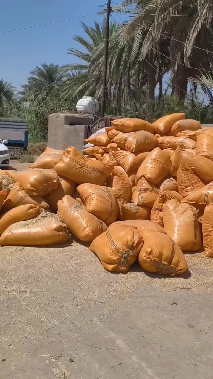 يا الله تبن عين تمر طول 90ولعرظ 70تبن درجه أولى واصل لباب البيت عنواني كربلاء عون شارع بغداد دخول كربلاء عمود 276وهاذى رقمي ***********
