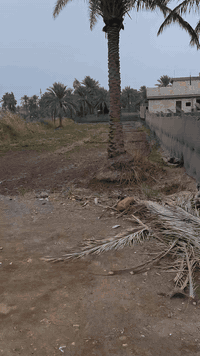 ١٦٥٠م • واجهة ١٦ونص • طابو صرف زراعي