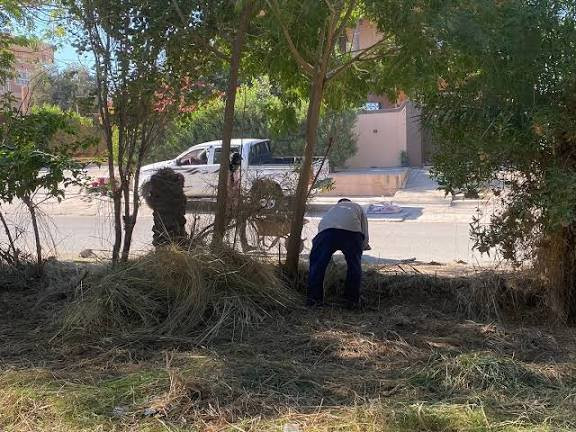 سلام عليكم اخواني عوائلنه الكرام في كركوك يوجد كادر عمل مختص في نضافة وغسل البيوت وتنضيف كافه الشقق من التشطيب وغيرها
ورفع وتنضيف كافه ال انقاض
وتنضيف كافة الحدائق 
وتنضيف كافه وفتح كافة المجاري 
ويوجد نقل نفط من كافة المناطق في كركوك 
اي شي يخص عوائلنه او اي شي تحتاجون الإتصال ع الرقم 
وتوجد ستوته للأجره 
اي عائله ماعدها هم اجيها واساعدها بلاش وتشلعون عيوني 
***********
