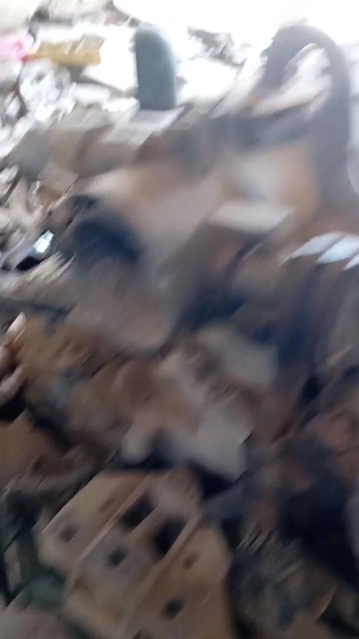محرك 3300 هو وكيره وغراض دوج بتر


**إذا كنت صاحب هذا الإعلان وتريد حذفه لأي سبب، رجاءا أرسل رسالة إلى الدعم الفني**