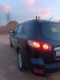 سنتافي • ٢٠٠٩ • وارد امريكي